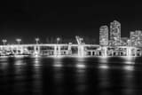 Port Boulevard Bridge Dodge Island Black and White Horizontal Port Boulevard Bridge Dodge Island black and white