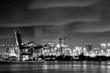 Ports Dodge Island Black and White Horizontal Ports Dodge Island black and white