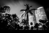 South Pointe South Beach Condos Black and White Horizontal South Pointe South Beach Condos black and white