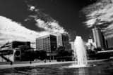 Cudahy Gardens Fountain Milwaukee Skyline Black and White Horizontal Cudahy Gardens Fountain Milwaukee Skyline black and white