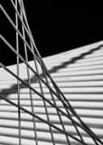 Milwaukee Art Museum Support Cables Black and White Vertical Milwaukee Art Museum Support Cables black and white