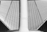 Milwaukee Art Museum Wings Black and White Horizontal Milwaukee Art Museum Wings black and white