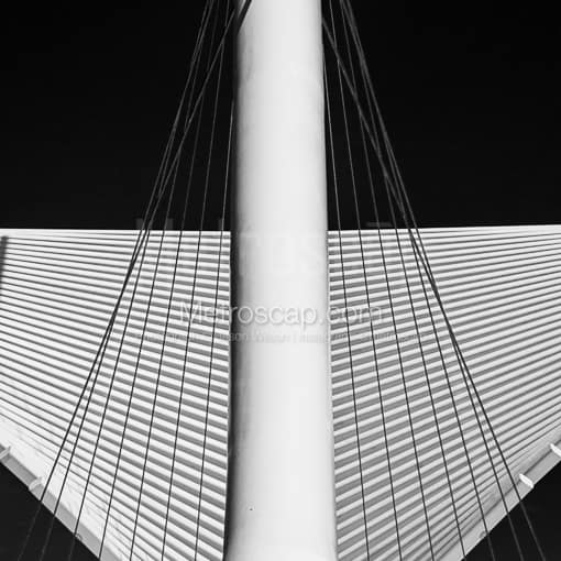 Matte Black MDF Framed Black and White Milwaukee Photograph: The Wings on the Milwaukee Art Museum in a Square Matte Black MDF Frame