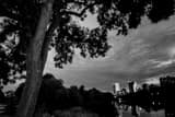 Milwaukee Skyline From Mckinley Park Black and White Horizontal Milwaukee Skyline From Mckinley Park black and white