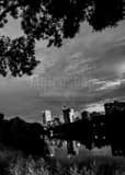 Milwaukee Skyline From Mckinley Park Black and White Vertical Milwaukee Skyline From Mckinley Park black and white