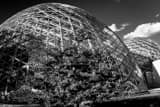 Mitchell Park Domes Black and White Horizontal Mitchell Park Domes black and white