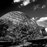 Mitchell Park Domes Black and White Square Mitchell Park Domes black and white