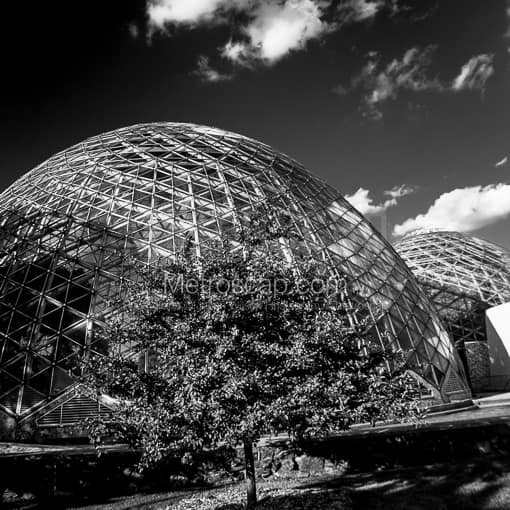 Matte Black MDF Framed Black and White Milwaukee Photograph: The Mitchell Park Domes in a Square Matte Black MDF Frame