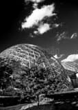 Mitchell Park Domes Black and White Vertical Mitchell Park Domes black and white