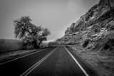Route 163 Along Montezuma Creek Black and White Horizontal Route 163 Along Montezuma Creek black and white
