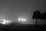Early Morning Fog Lake Ponchartrain Black and White Horizontal Early Morning Fog Lake Ponchartrain black and white