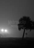 Early Morning Fog Lake Ponchartrain Black and White Vertical Early Morning Fog Lake Ponchartrain black and white