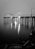 Foggy Lake Ponchartrain Sunrise Black and White Vertical Foggy Lake Ponchartrain Sunrise black and white