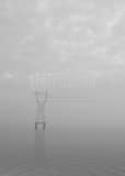 High Voltage Wires Cross Lake Ponchartrain Black and White Vertical High Voltage Wires Cross Lake Ponchartrain black and white