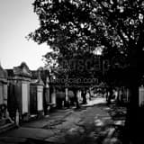 Lafayette Cemetary Black and White Square Lafayette Cemetary black and white