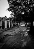 Lafayette Cemetary Black and White Vertical Lafayette Cemetary black and white