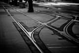 Streetcar Tracks Canal Street Black and White Horizontal Streetcar Tracks Canal Street black and white