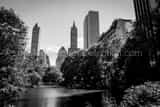 Central Park Pond Black and White Horizontal Central Park Pond black and white