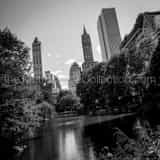 Central Park Pond Black and White Square Central Park Pond black and white