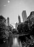 Central Park Pond Black and White Vertical Central Park Pond black and white