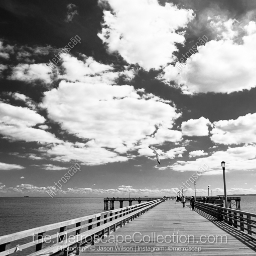 Matte Black MDF Framed Black and White New York City Photograph: A Sea Gull Swoops Down on to the Coney Island Pier in a Square Matte Black MDF Frame