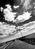 Coney Island Pier Black and White Vertical Coney Island Pier black and white