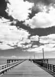 Coney Island Pier Black and White Vertical Coney Island Pier black and white