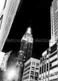 Empire State Building Black and White Vertical Empire State Building black and white