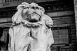 New York Public Library Lion Black and White Horizontal New York Public Library Lion black and white