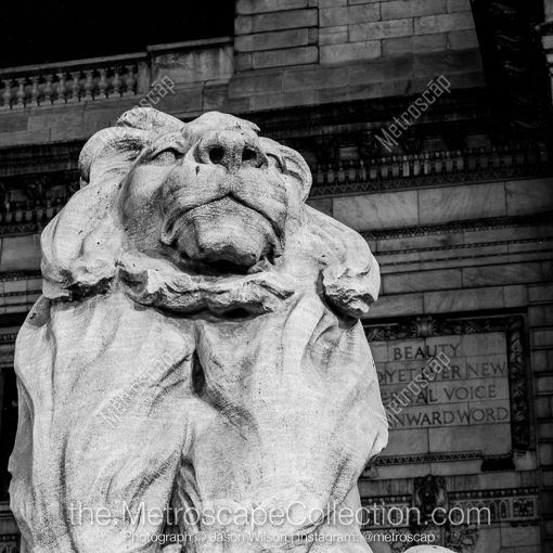 Matte Black MDF Framed Black and White New York City Photograph: The Lion Statue Outside of the New York Public Library in a Square Matte Black MDF Frame