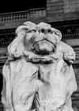 New York Public Library Lion Black and White Vertical New York Public Library Lion black and white