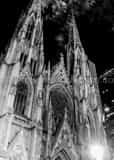 St Pats Cathedral Black and White Vertical St Pats Cathedral black and white