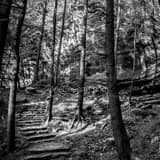 Hocking Hills Walking Trail Black and White Square Hocking Hills Walking Trail black and white