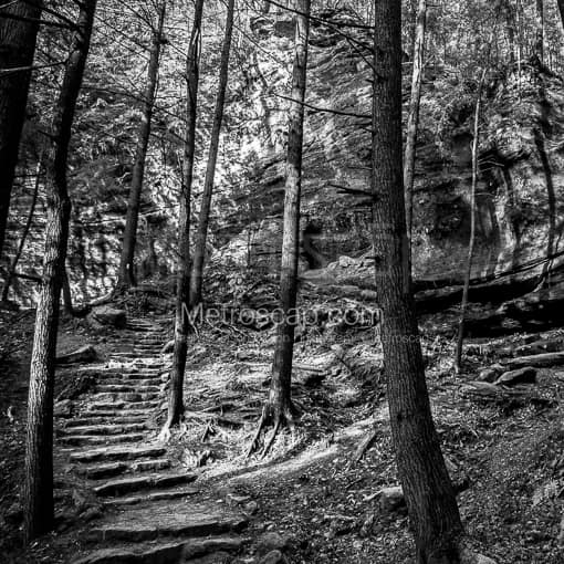 Matte Black MDF Framed Black and White Old Mans Cave Photograph: An Old Man's Cave Walking Trail in a Square Matte Black MDF Frame