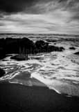 Low Tide On The Oregon Coast Black and White Vertical Low Tide On The Oregon Coast black and white