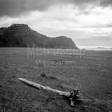 Samuel H Boardman State Park Black and White Square Samuel H Boardman State Park black and white