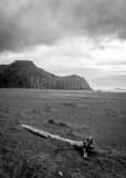 Samuel H Boardman State Park Black and White Vertical Samuel H Boardman State Park black and white
