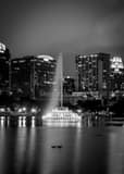 Orlando Skyline Lake Eola Black and White Vertical Orlando Skyline Lake Eola black and white