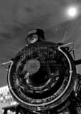 Orlando Train Black and White Vertical Orlando Train black and white