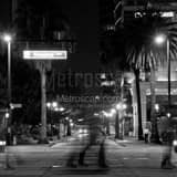 Rosalind Avenue Downtown Orlando Black and White Square Rosalind Avenue Downtown Orlando black and white