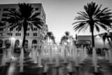 Clematis Street Fountain At Dusk Black and White Horizontal Clematis Street Fountain At Dusk black and white