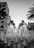 Clematis Street Fountain At Dusk Black and White Vertical Clematis Street Fountain At Dusk black and white