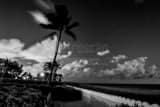 Clouds Over Palm Beach Black and White Horizontal Clouds Over Palm Beach black and white