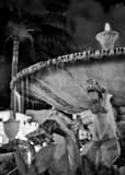 Wild Stallion Fountain Palm Beach Island Black and White Vertical Wild Stallion Fountain Palm Beach Island black and white