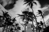 Worth Avenue Palm Beach Black and White Horizontal Worth Avenue Palm Beach black and white