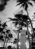 Worth Avenue Palm Beach Black and White Vertical Worth Avenue Palm Beach black and white