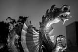 Drexel Dragon Black and White Horizontal Drexel Dragon black and white