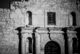 Close Up Of Alamo Black and White Horizontal Close Up Of Alamo black and white