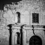 Close Up Of Alamo Black and White Square Close Up Of Alamo black and white