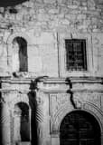Close Up Of Alamo Black and White Vertical Close Up Of Alamo black and white